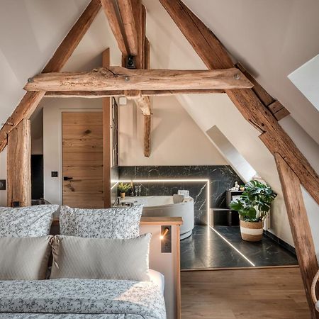 Le Splendide Collegiale Saint Andre Apartment Chartres Exterior foto